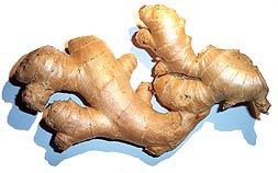Ginger As Food and Medicine