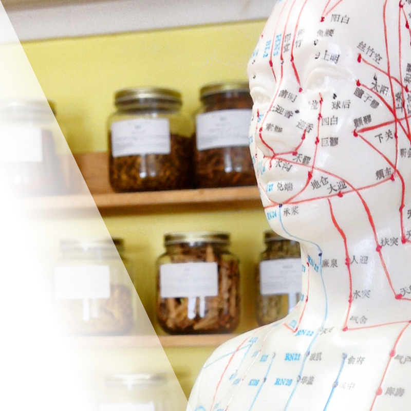 Acupuncture Herbs Qi Gong in Bellingham Matt Van Dyke, L.Ac. EAMP